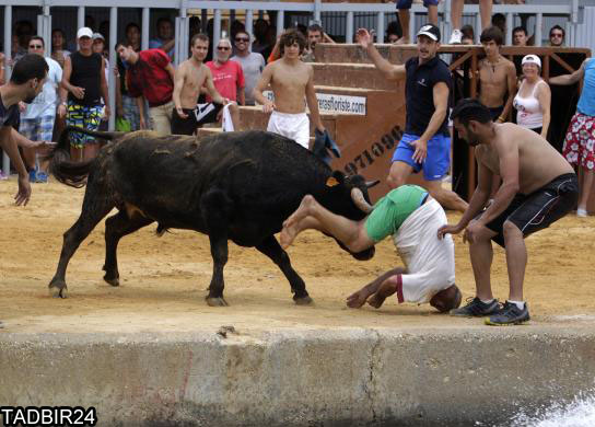 29117 191 آغاز بزرگترین جشن گاو بازی در اسپانیا + تصاویر