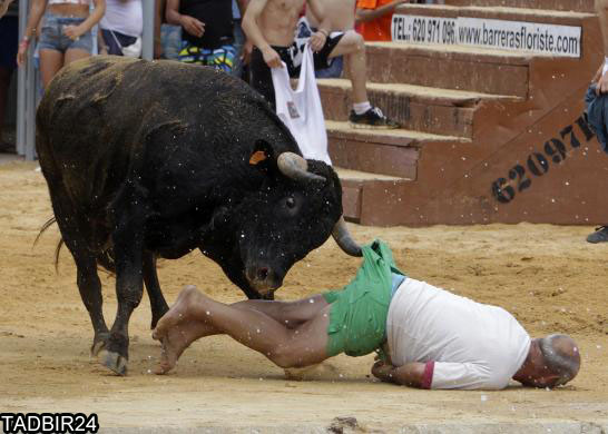 29119 832 آغاز بزرگترین جشن گاو بازی در اسپانیا + تصاویر