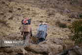 زنان کولبر شناسایی و صاحب شغل می شوند
